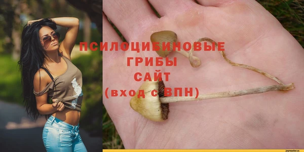 мет Алексин