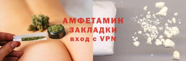 мет Алексин