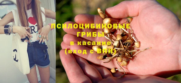 прущая мука Абаза